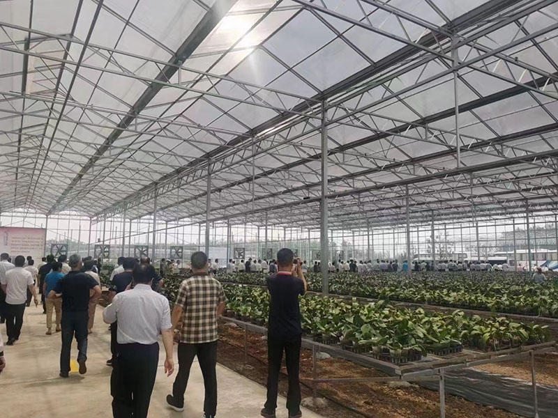 PC陽(yáng)光板溫室